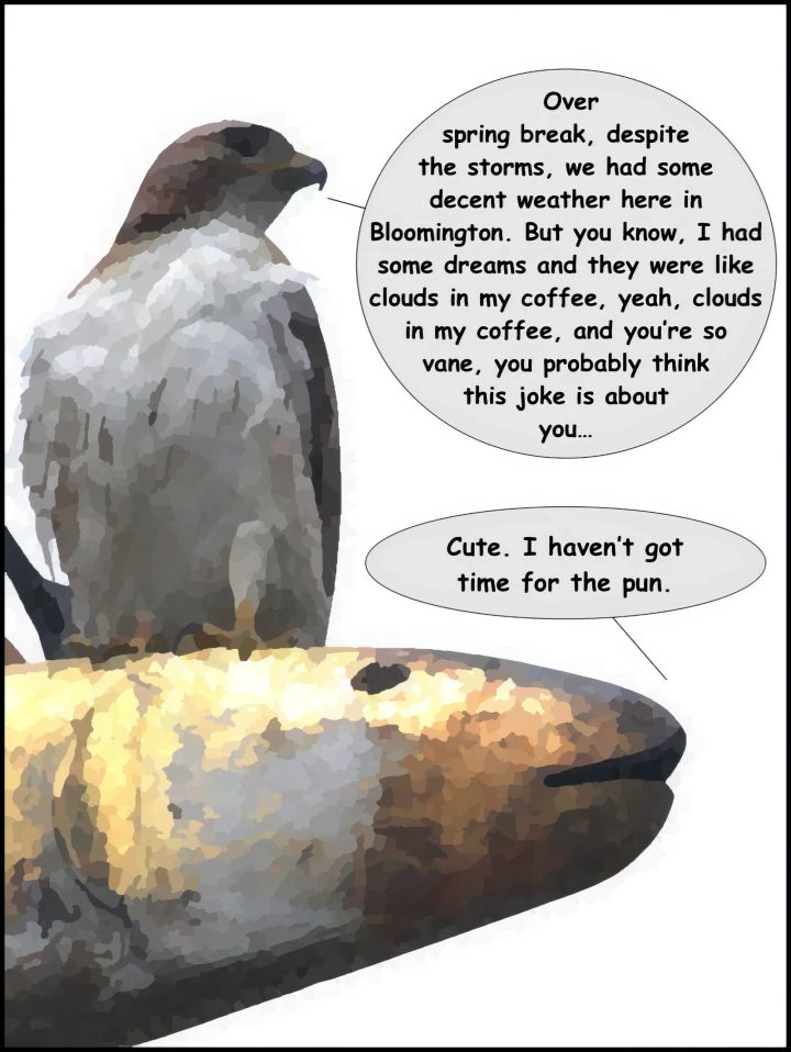 Cartoon with a hawk sitting on top of a weathervane metal fish. 