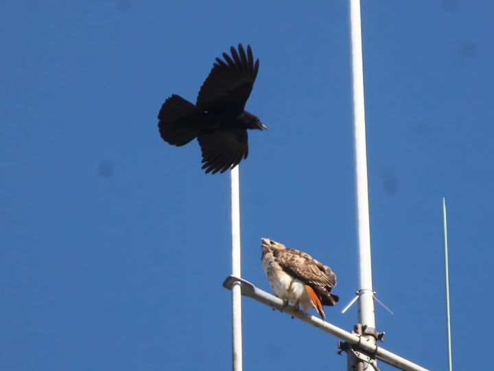 7th Street & College Avenue