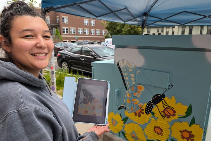 Downtown Bloomington traffic signal boxes get new murals—all nature themed