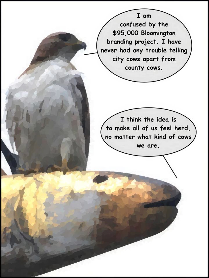 Sunday Funnies: Hawk v. Fish