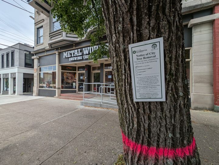 6th Street & Walnut Street