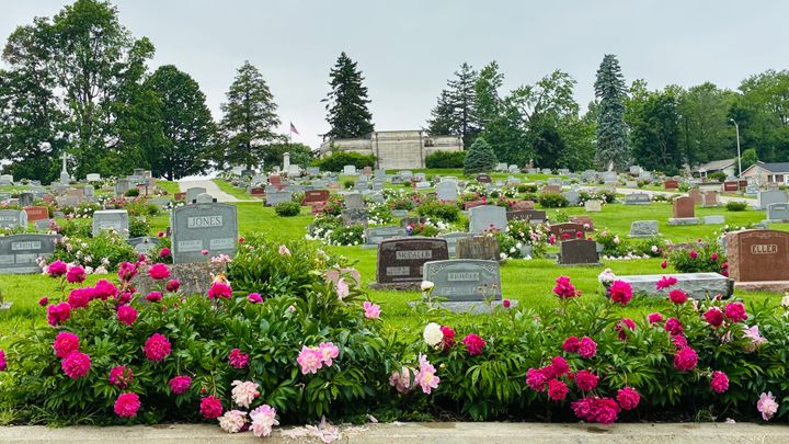 4th Street & Elm Street (Rose Hill Cemetery)