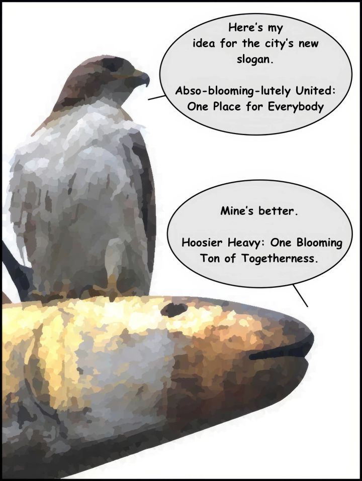 Sunday Funnies: Hawk v. Fish