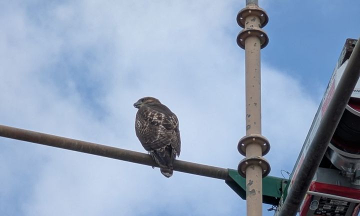 6th Street & Walnut Street