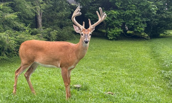 E. 2nd Street & S. Eastside Drive