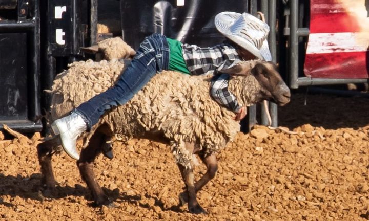 Photos: Monroe County Fair rodeo, from mutton busting to barrel racing