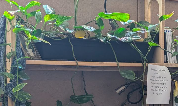 7th Street & College Avenue