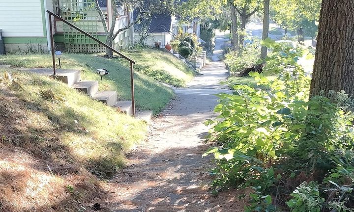 Cars vs. Peds: Bloomington city council reverses course, disallows visual aids for public comment