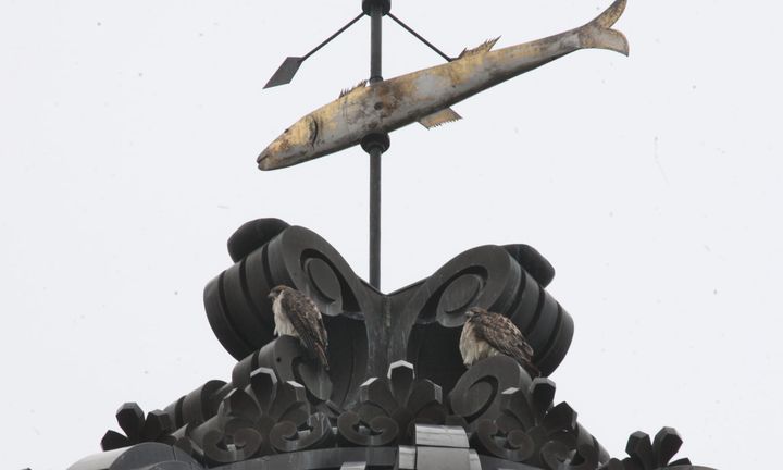 Monroe County historic courthouse