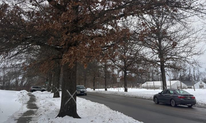 Pete Ellis Drive & East 10th Street