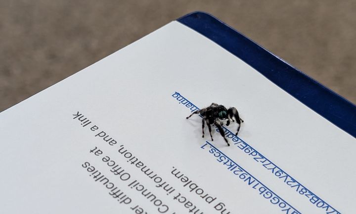 Bloomington city hall