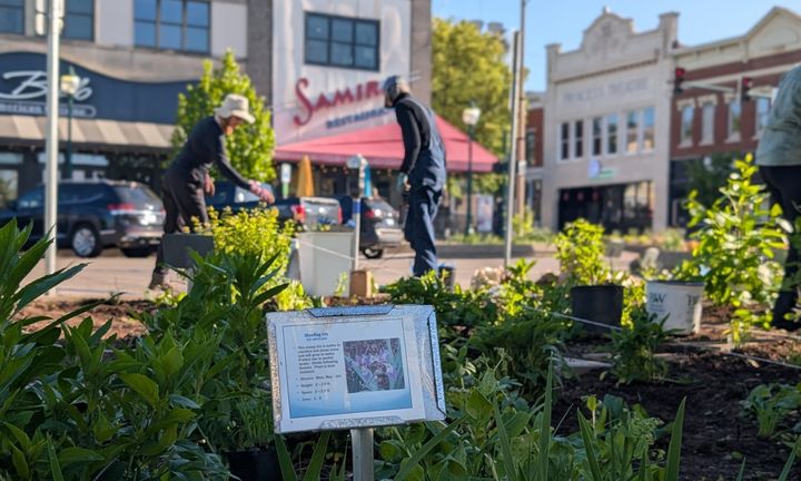 6th Street & Walnut Street
