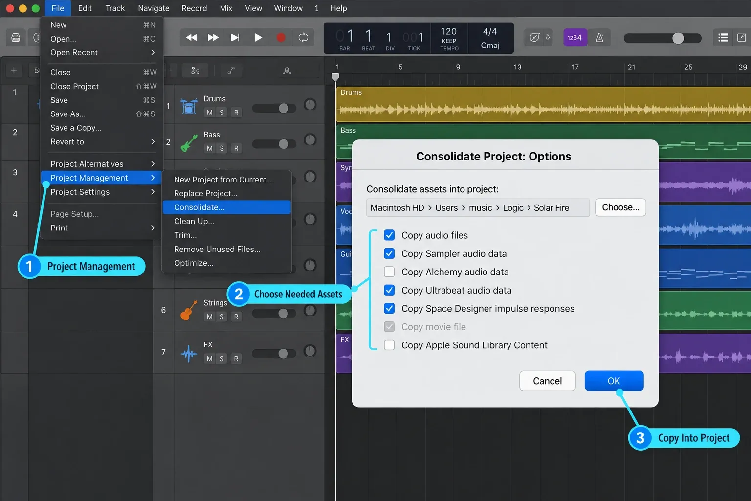 Logic Pro Consolidate Project showing settings used to copy project assets
