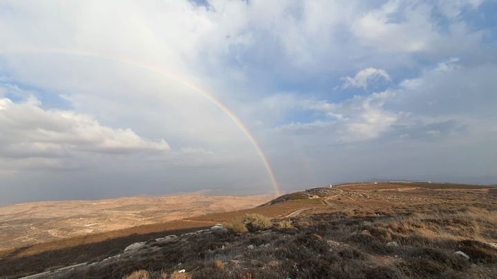 Beyond the Horizon: Reading ʿOlam with Hebrew Eyes