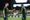 Match Recap: Portland Timbers vs FC Dallas