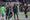Portland Timbers @ Seattle Sounders Match Preview