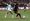 Match Preview & Discussion Thread: Portland Thorns at Gotham