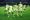 Match Recap & Highlights: Portland Timbers @ LAFC