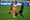 Portland Thorns at Gotham FC: Match recap, highlights, and reaction