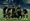 Leagues Cup Match Recap & Highlights: Portland Timbers vs Puebla