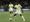 Portland Timbers 2026 MLS Matchday 23 Preview & Discussion Thread: Minnesota United (H)