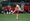 Portland Thorns at Orlando Pride | Preview, Prematch media availability, and Discussion Thread