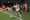 Portland Timbers 2026 MLS Matchday 24 Preview & Discussion Thread: St. Louis City (H)