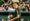 Portland Timbers 2026 MLS Matchday 28 Preview & Discussion Thread: San Jose Earthquakes (A)