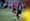 Portland Thorns vs Houston Dash | Preview, Injury Updates, Prematch Media Availability with Robert Vilahamn, and Discussion Thread