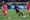 Match Preview & Discussion Thread: Portland Thorns vs North Carolina Courage