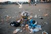 Where Trash Belongs