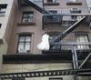 Let New York Vote for More Housing