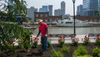 Learning from Jersey City