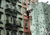 Mamdani’s Affordability Dilemma: The Challenge of Making New York City Housing Less Expensive