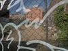 New York City’s Crime Puzzle