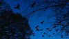Rethinking the Role of Nonprofits in Progressive Policy and Urban Governance