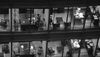 A row of windows in an office building, through which you can see the people working inside; shot in black and white
