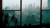 The Queensborough Bridge is seen on a rainy day from behind a large apartment window; inside, on the window sill is a plant with long, thin leaves