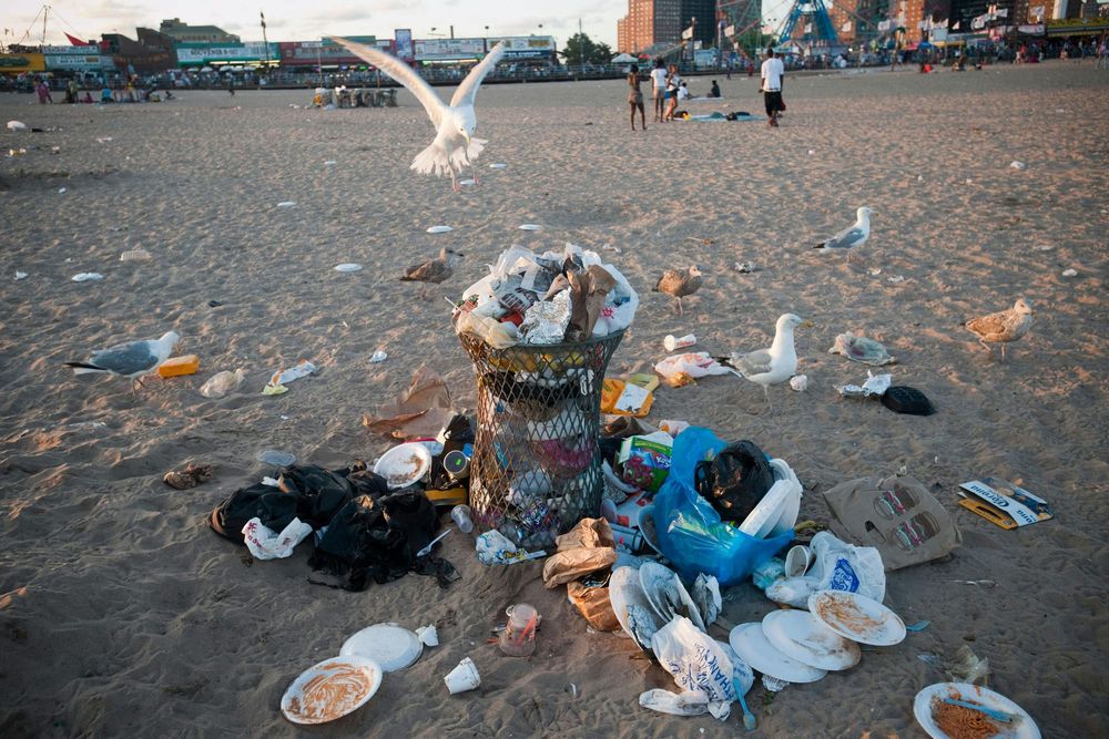 Where Trash Belongs