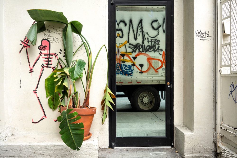 A tall plant with large leaves sits in front of graffiti of a skeleton and a doorway looking out onto a moving van in the foyer of an apartment building