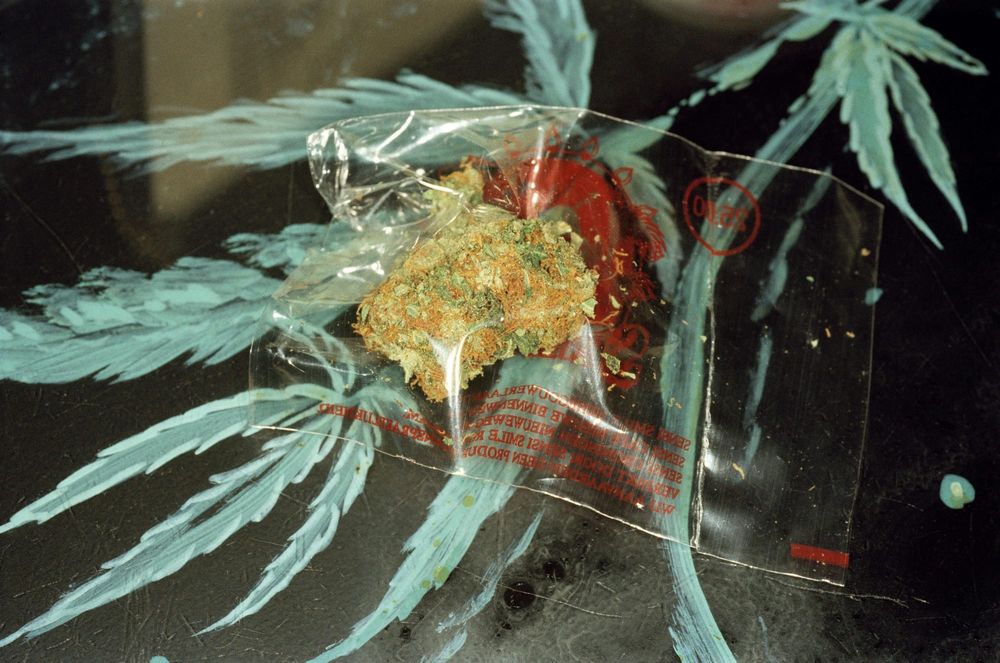 How Weed Works: A Conversation With Margaret Haney