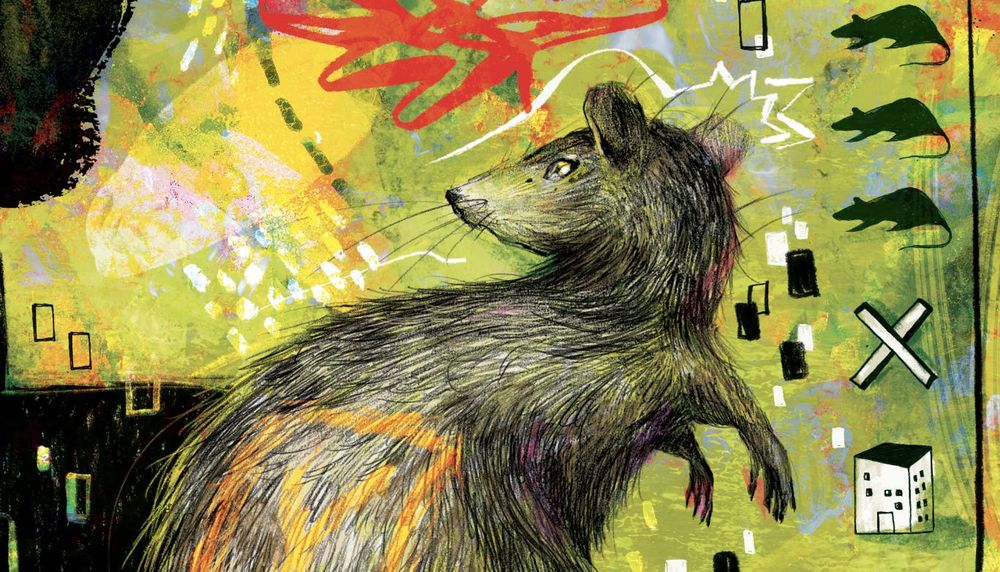 To Beat Rats, Follow the Science
