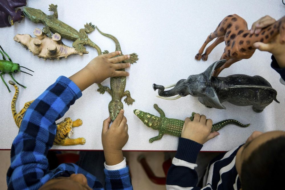Small Children, Big Looming Policy Questions