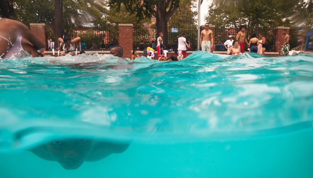 Everyone Into the Pool