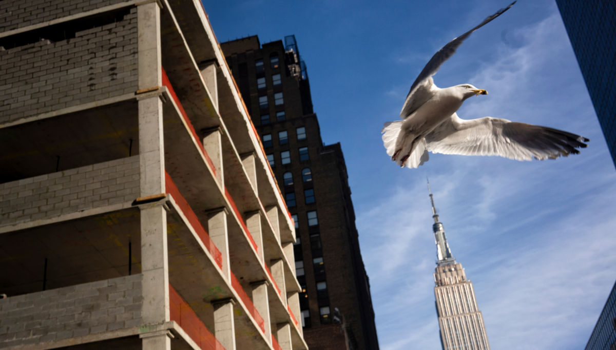 The Big Hole in Mamdani’s Housing Plan
