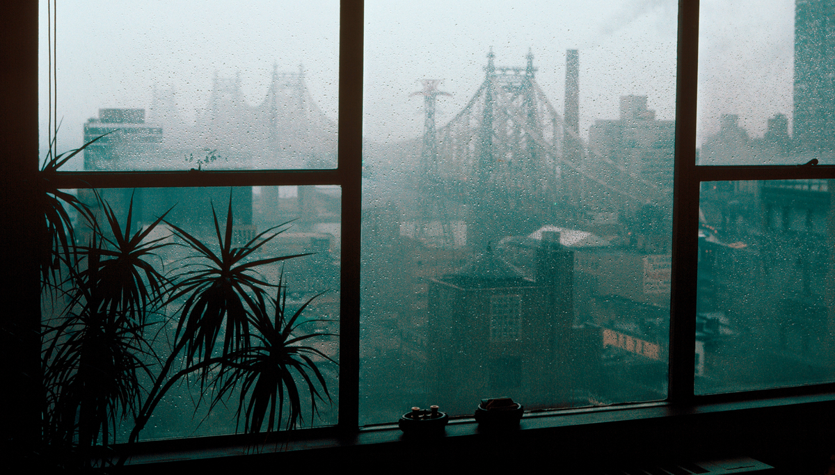 Image via Vital City