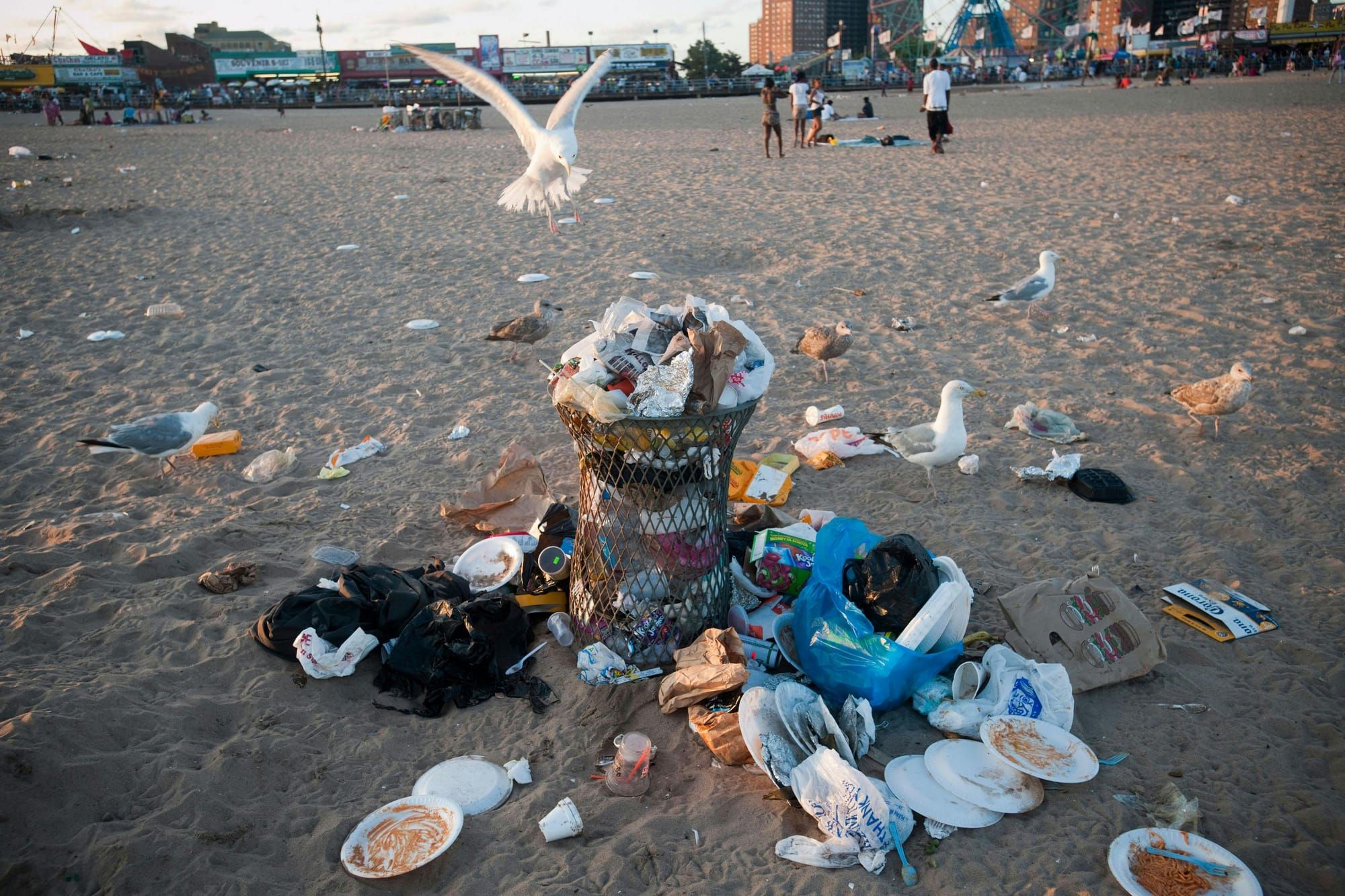 Where Trash Belongs