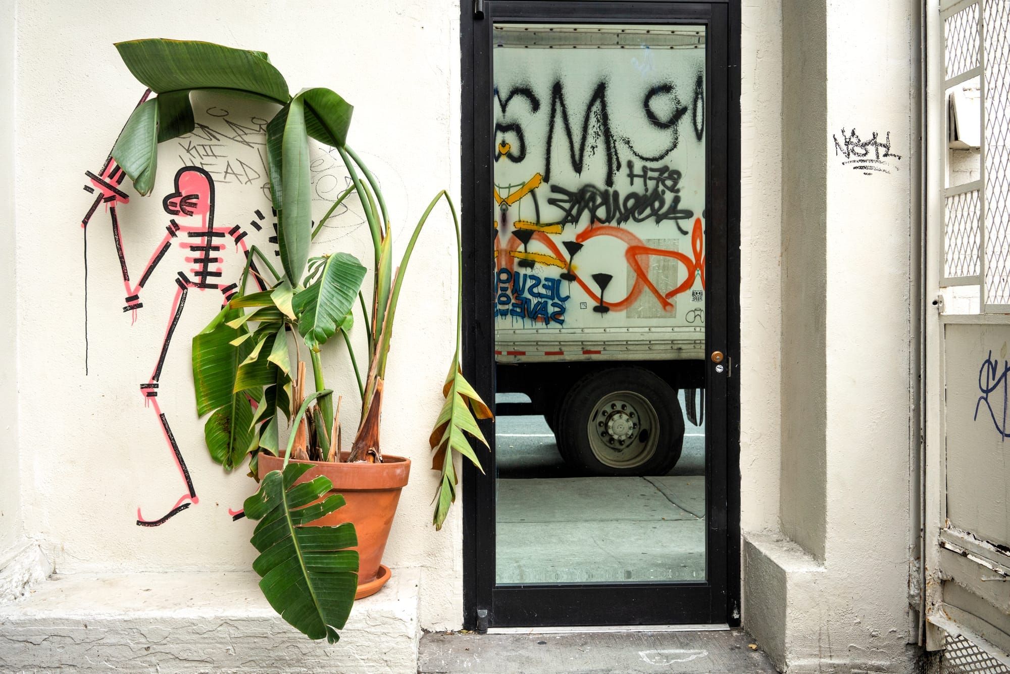 A tall plant with large leaves sits in front of graffiti of a skeleton and a doorway looking out onto a moving van in the foyer of an apartment building
