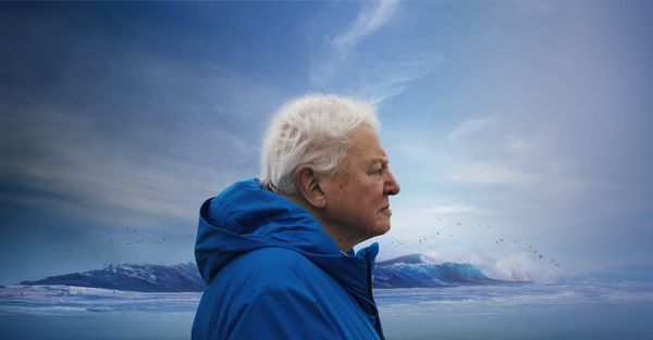 David attenborough photo with ocean wave in the background