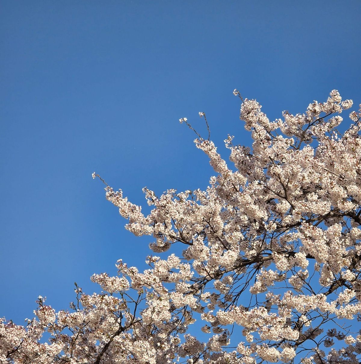 Prohibited Interview Questions in Korea: What Employers Must Know